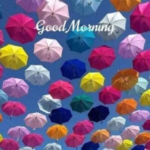 Meet your Posher, Hope